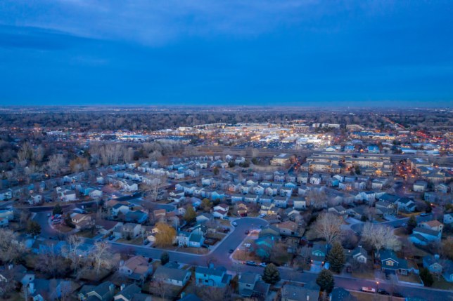 Ant control in Fort Collins, CO